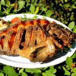 Pescados Chely Mojarra